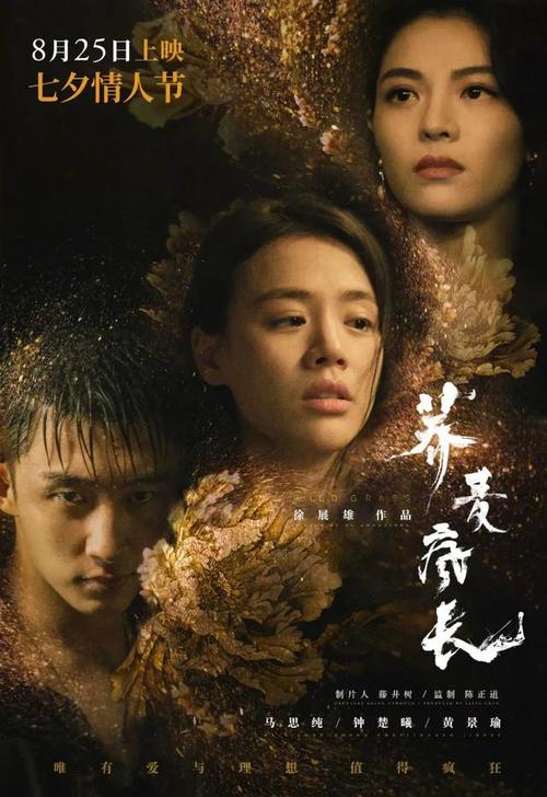 新布朗斯维克大学学位证